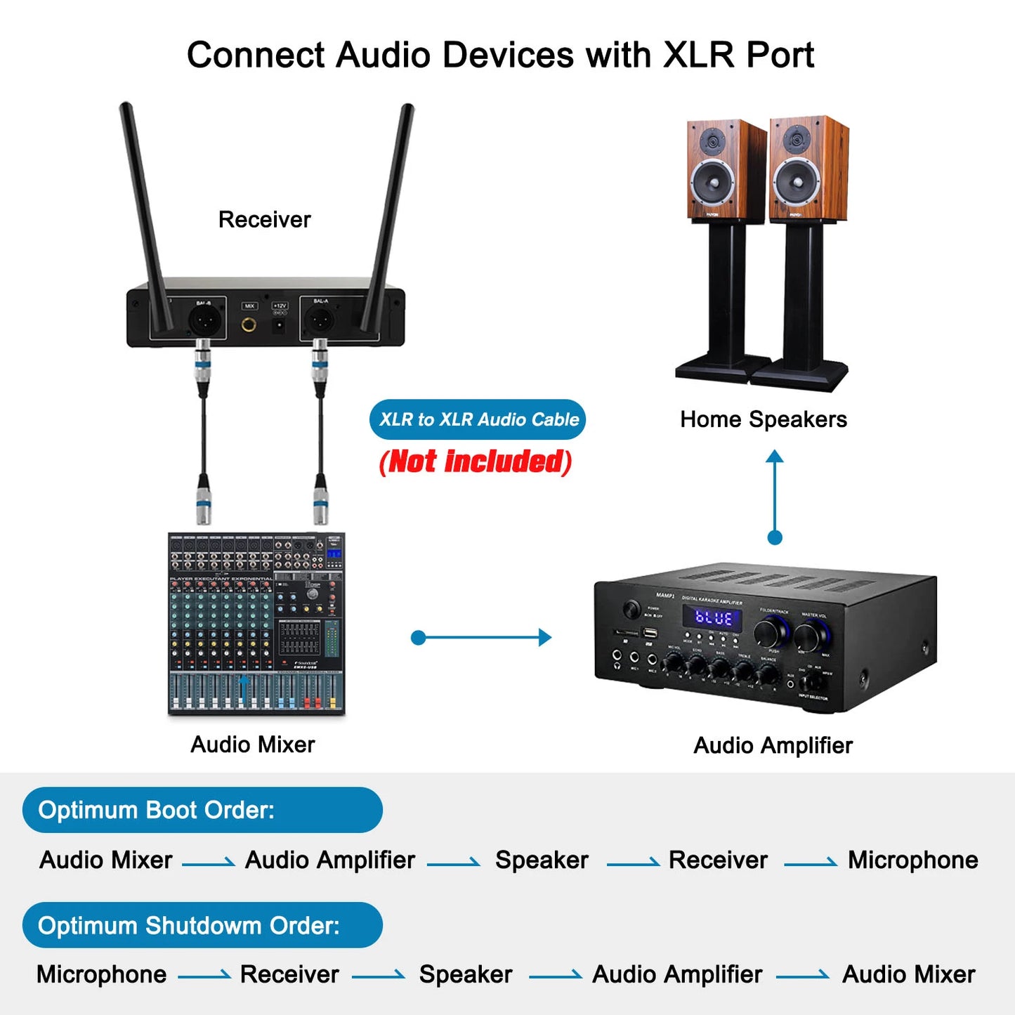 VeGue Wireless Dynamic Microphone System for Karaoke Parties - Antland Marketplace
