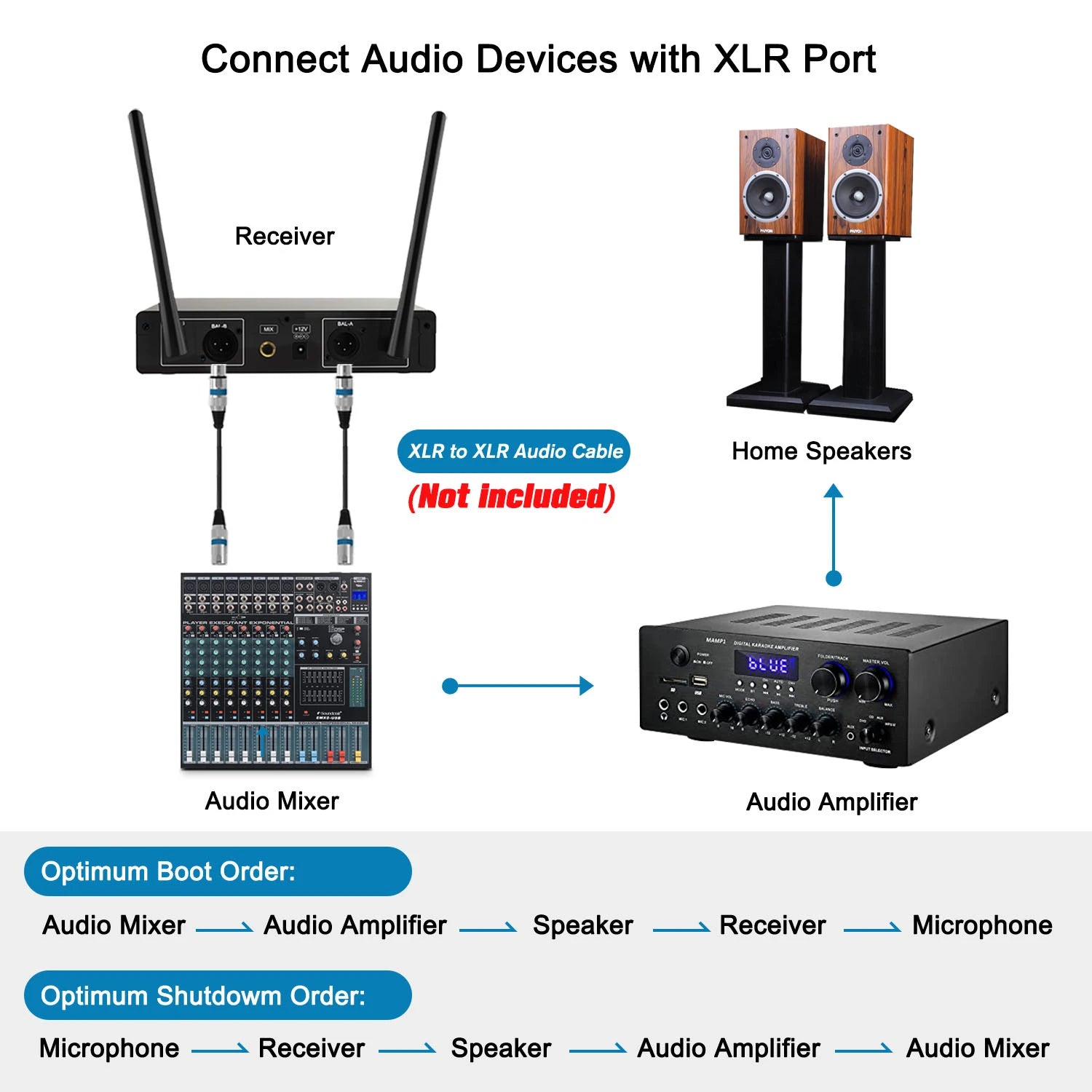 VeGue Wireless Dynamic Microphone System for Karaoke Parties - Antland Marketplace