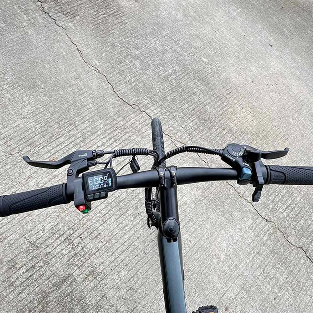 Freego City Electric Bike 20 MPH 500W With 36V 8Ah Removable Battery