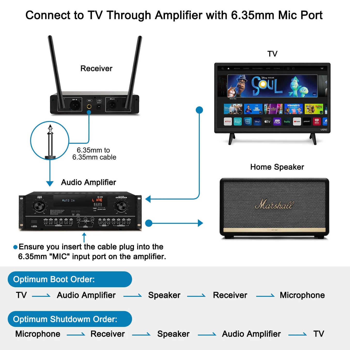 VeGue Wireless Dynamic Microphone System for Karaoke Parties - Antland Marketplace