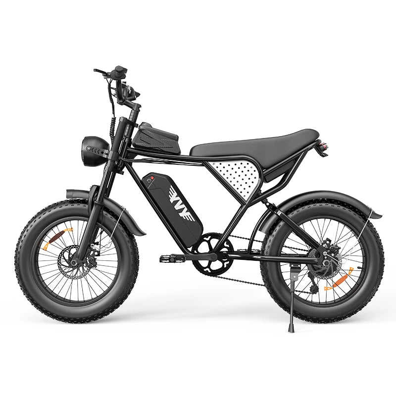 Q20Pro 2000W Dual Motor Fat Tire Electric Mountain Bike 52V 40Ah