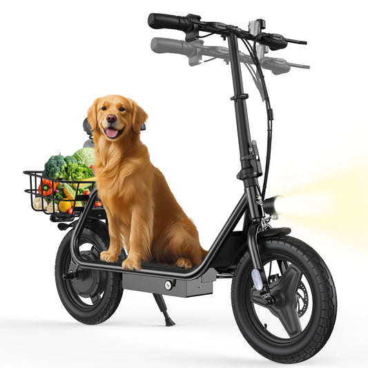 Varun P7 750W Foldable Electric Scooter 48V City Escooter