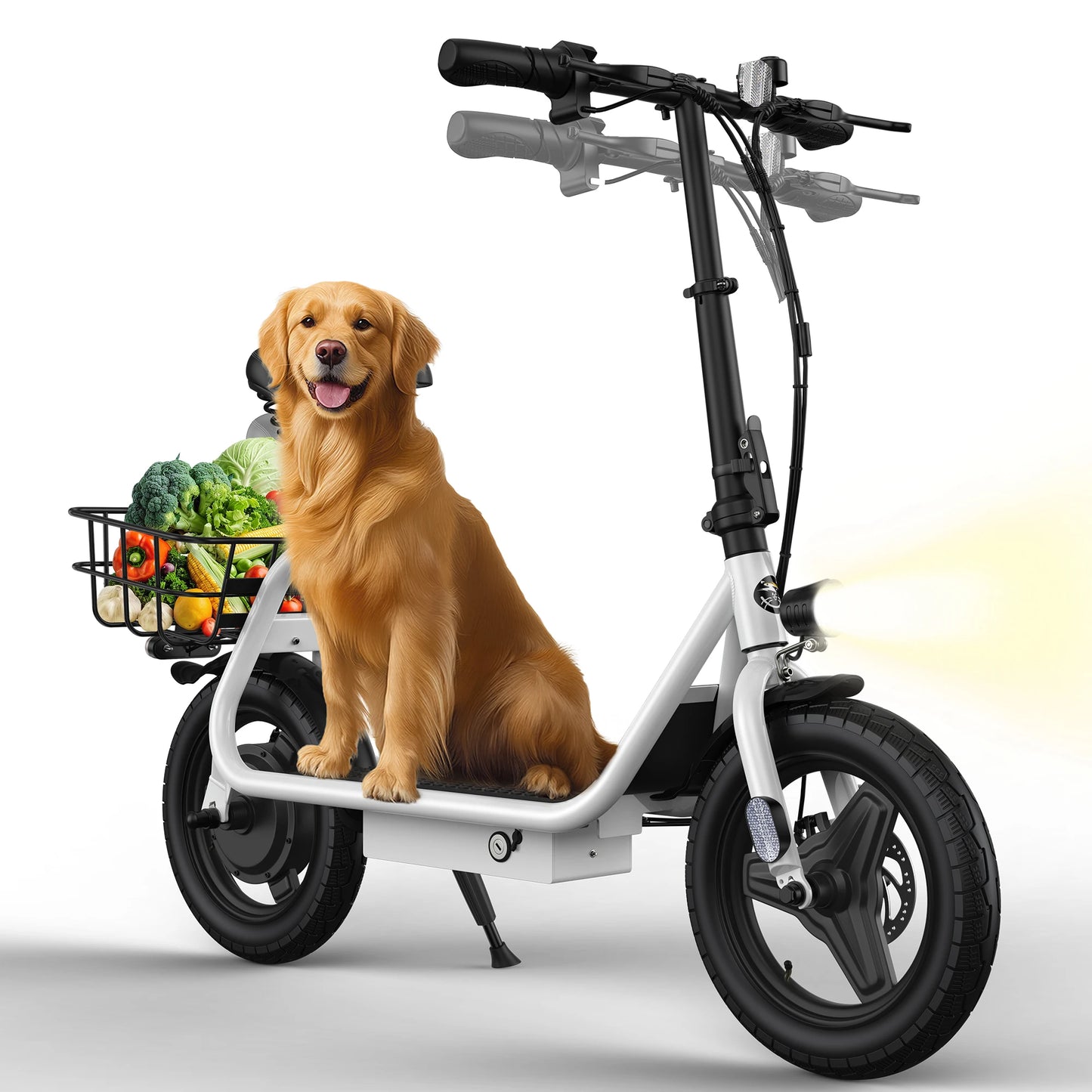 Varun P7 750W Foldable Electric Scooter 48V City Escooter