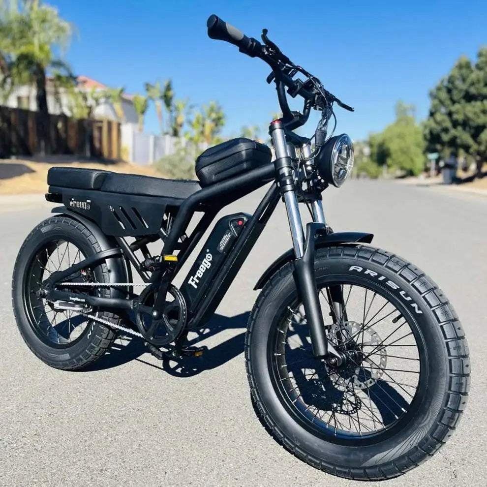 Freego F0 Fat Tire Electric Bike 20 Inch Mountain E Bike 500W