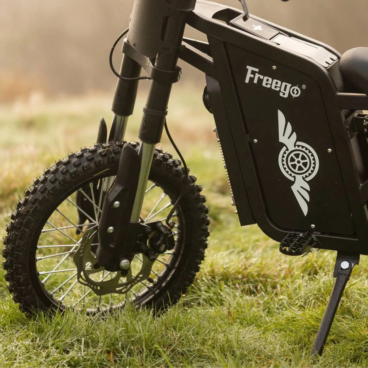 Freego X0 Electric Dirt Bike 3600W 60V With Dual Hydraulic Disc Brakes