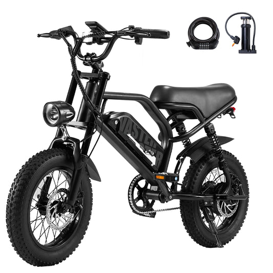 VDL Mountain Fat Tire E Bike 16 Inch 800W Removable Battery