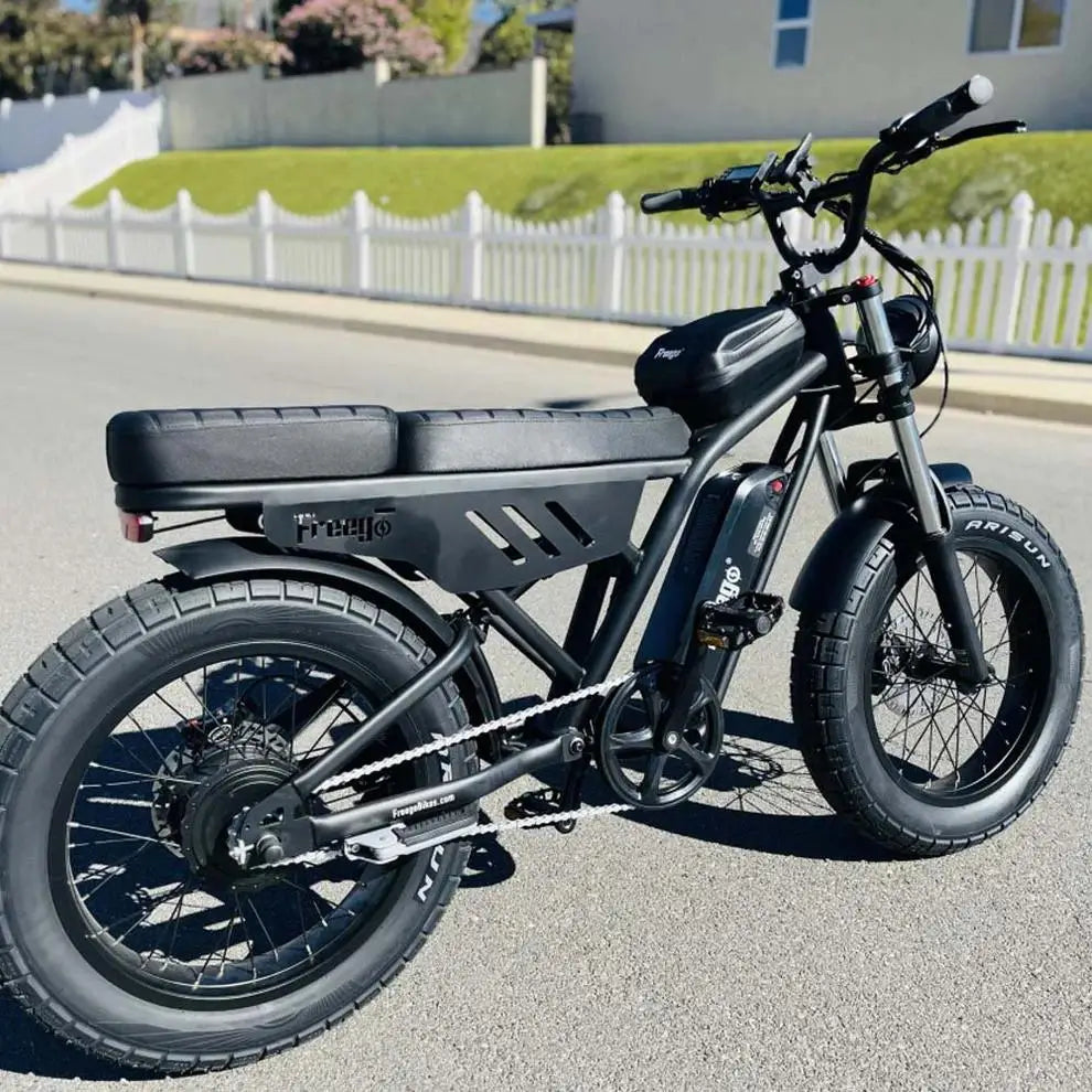 Freego F0 Fat Tire Electric Bike 20 Inch Mountain E Bike 500W