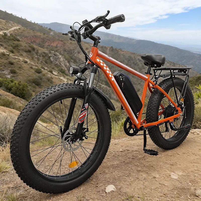 High Power 1000W Fat Tire Electric Bike With 48V Battery