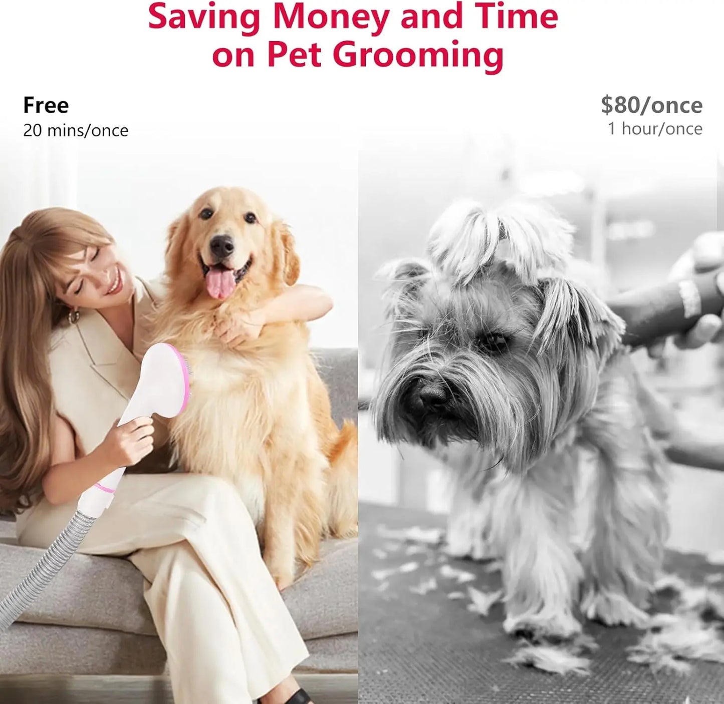 3 In 1 Pet Grooming Vacuum Dryer And Clippers Kit For Dog Hair Cats And More Fur Care