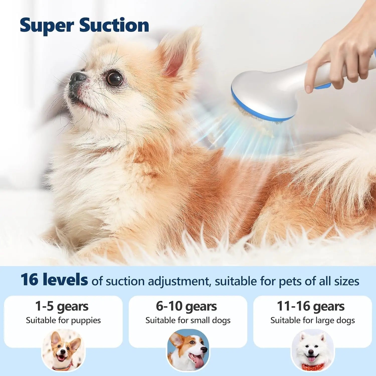 5-in-1 Pet Grooming Vacuum Kit for Dogs and Cats - Antland Marketplace