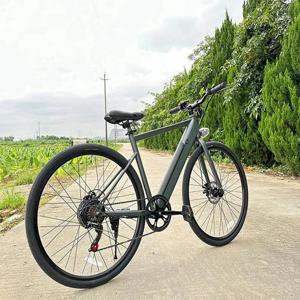 Freego City Electric Bike 20 MPH 500W With 36V 8Ah Removable Battery