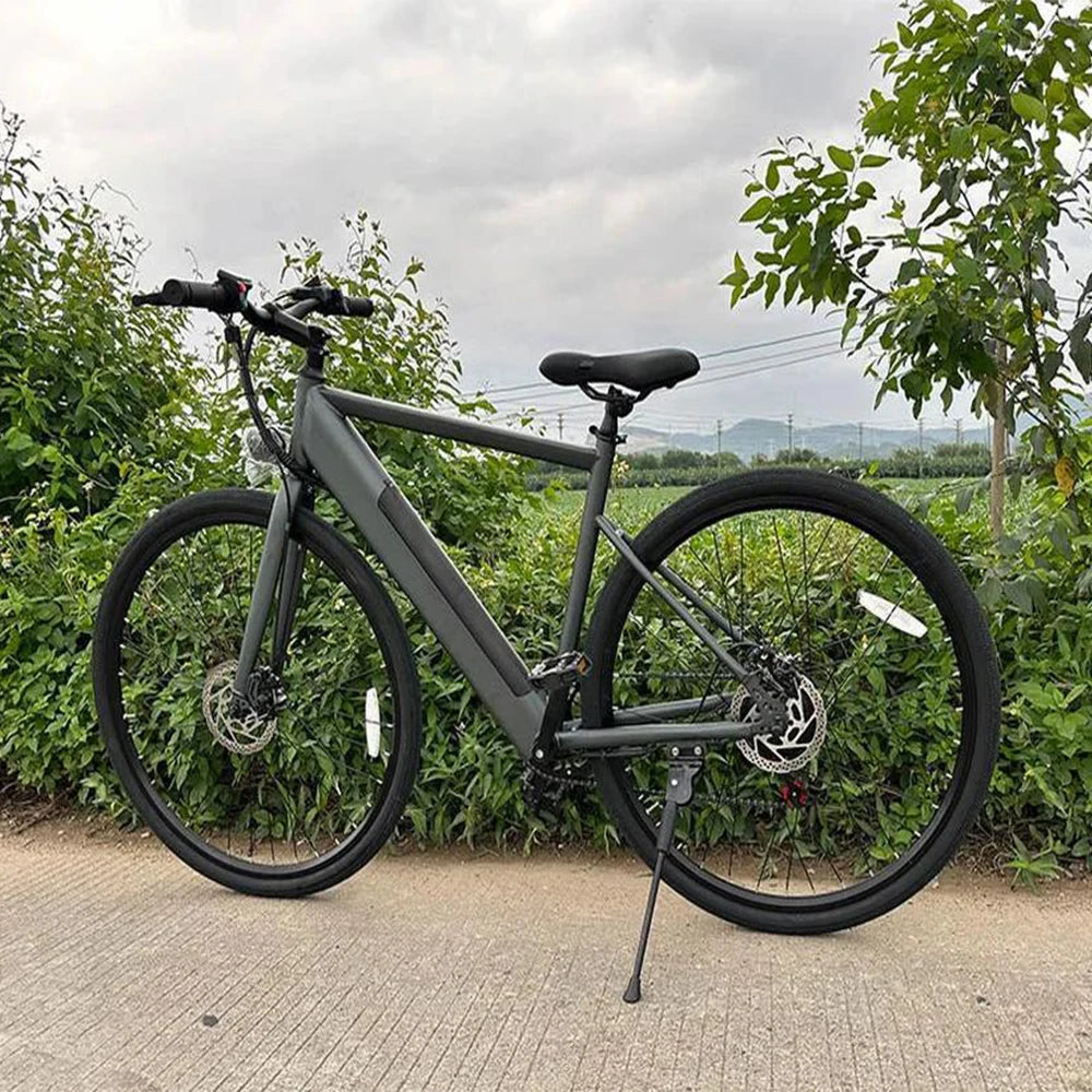 Freego City Electric Bike 20 MPH 500W With 36V 8Ah Removable Battery