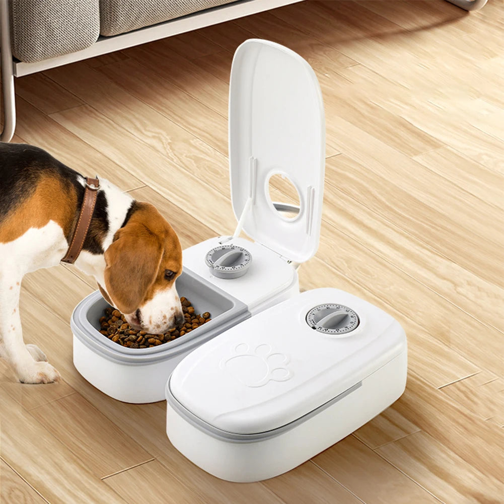 Smart Automatic Pet Feeder with Timer for Cats and Dogs - Antland Marketplace