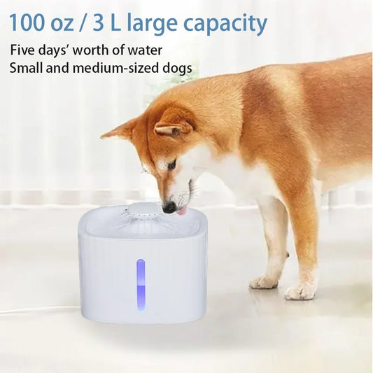 White Pet Water Fountain 100 Oz 3 L Auto Shut Off With 6 Filters For Cats And Dogs