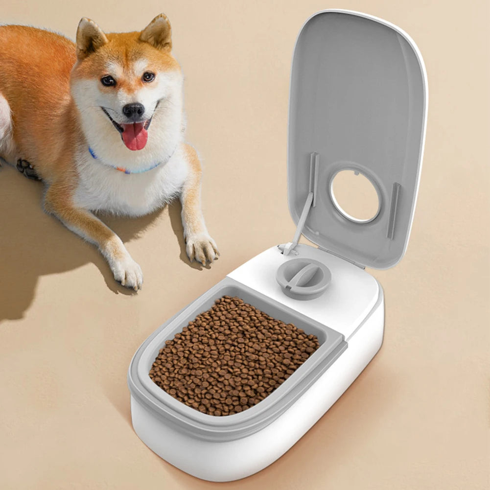 Smart Automatic Pet Feeder with Timer for Cats and Dogs - Antland Marketplace