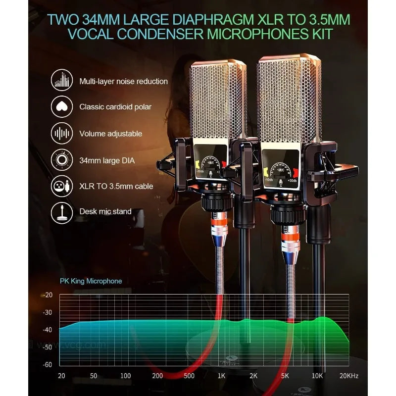 Audio Mixer and Microphone Set with Voice Changer