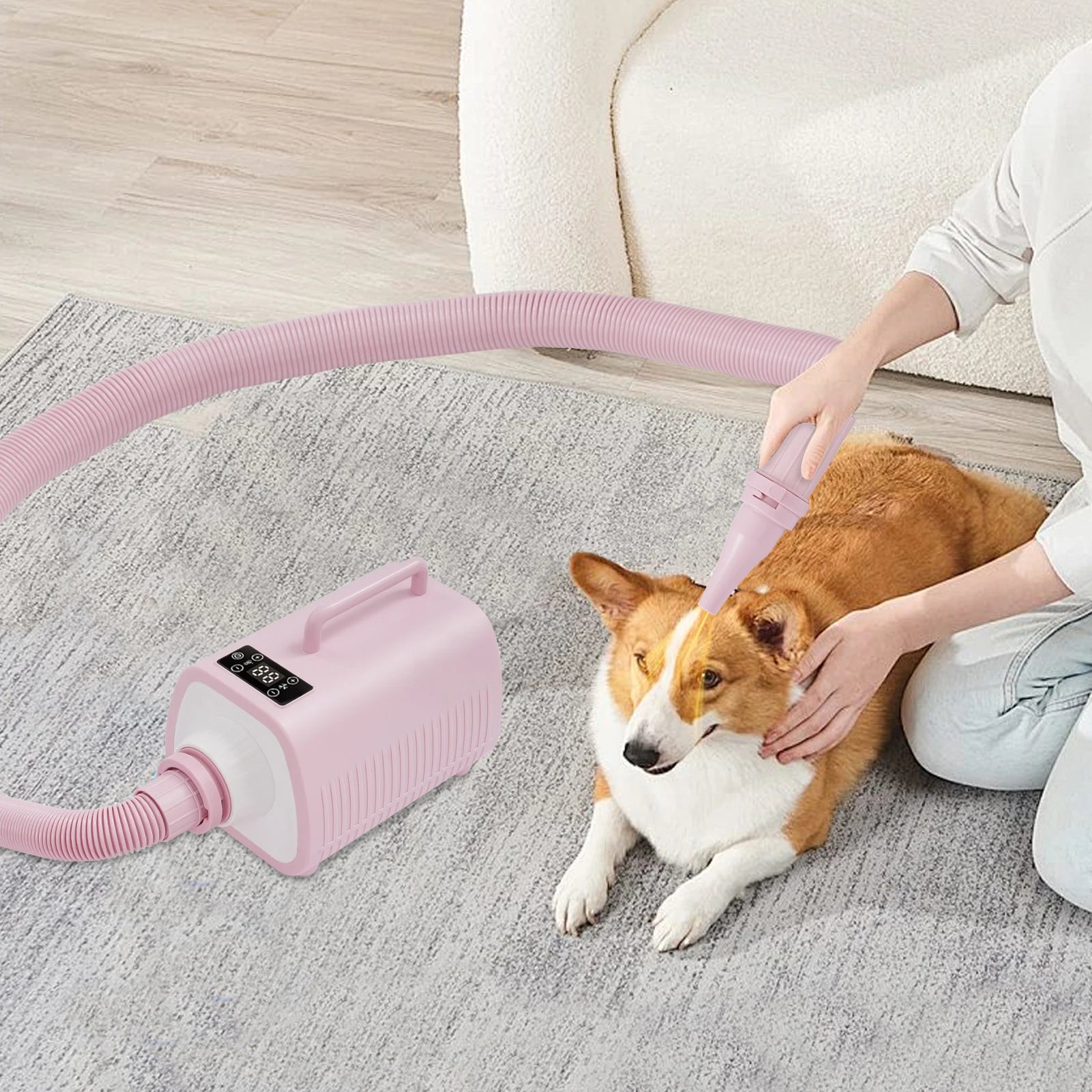 Professional Pet Hair Dryer 2100W Adjustable Speed Settings - Antland Marketplace