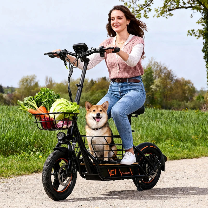 600W Electric Scooter With Seat For Adults 120Kg Load 35 Kmh Front Suspension