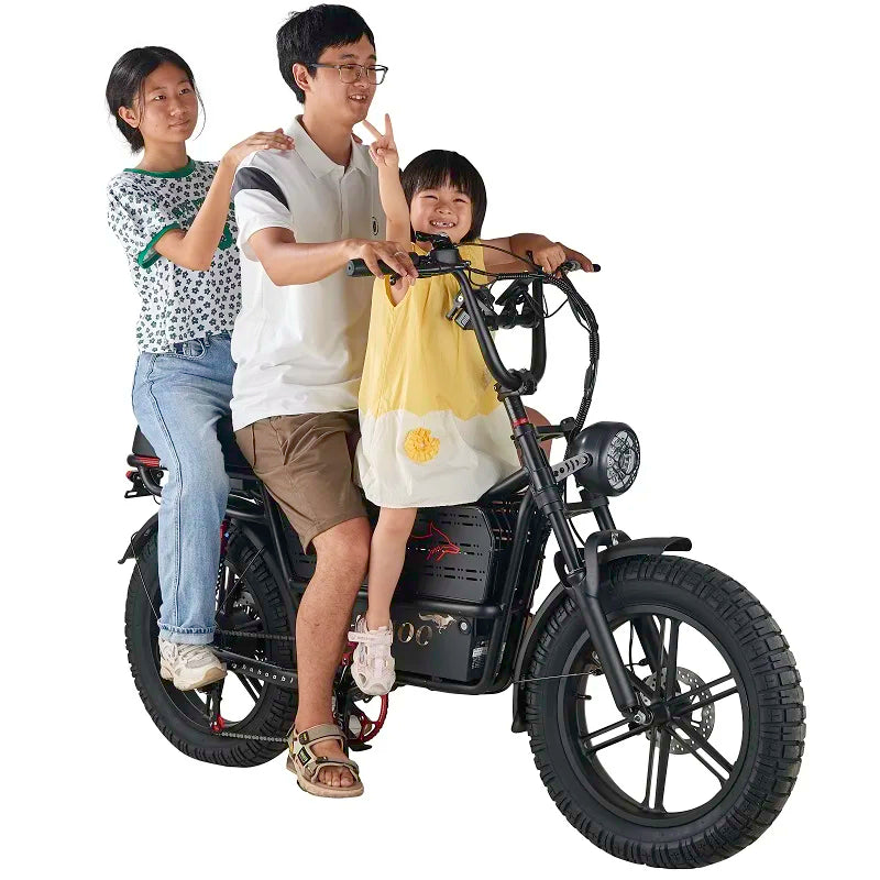 HAHOO H20 Electric Mountain Bike 2000W Dual Suspension