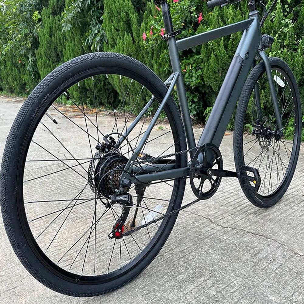 Freego City Electric Bike 20 MPH 500W With 36V 8Ah Removable Battery