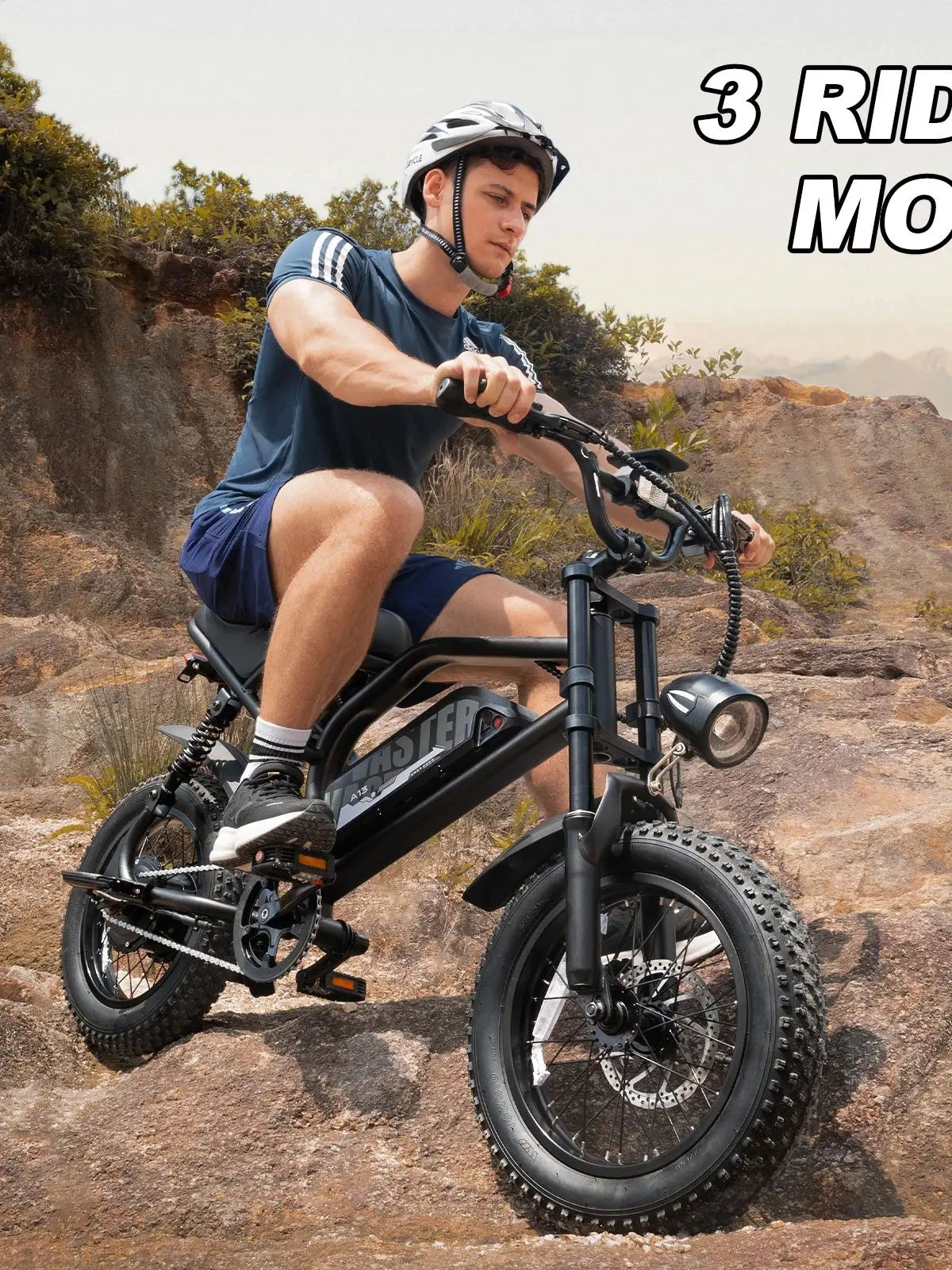 VDL Mountain Fat Tire E Bike 16 Inch 800W Removable Battery