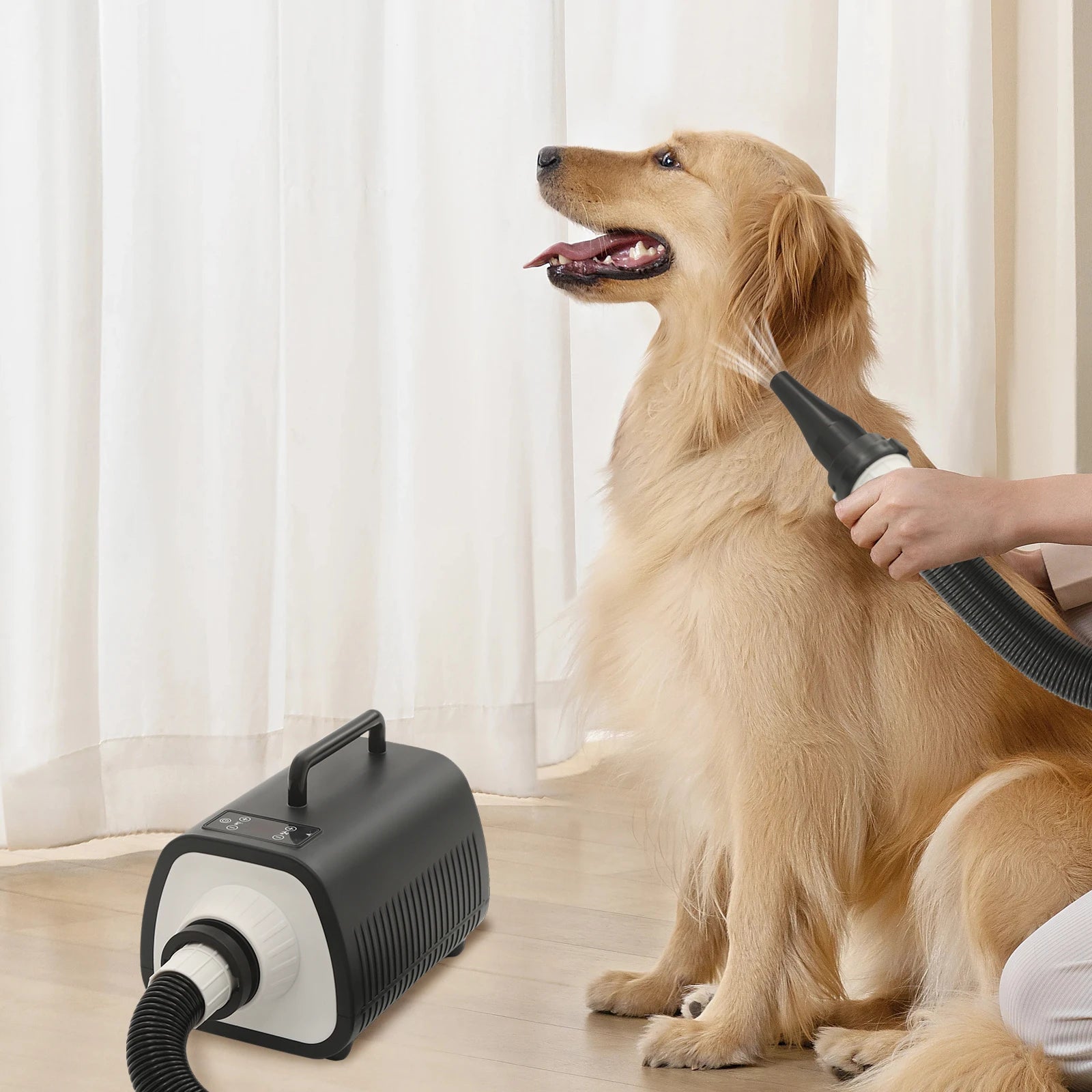 Professional Pet Hair Dryer 2100W Adjustable Speed Settings - Antland Marketplace