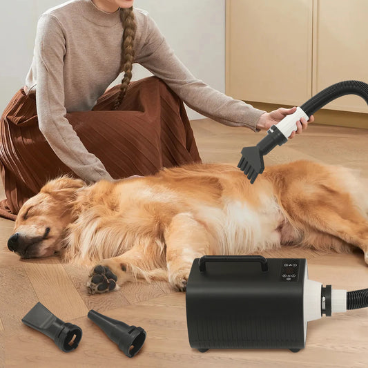 Professional Pet Hair Dryer 2100W Adjustable Speed Settings - Antland Marketplace