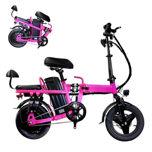 Folding Electric Bicycle 500W Peak Motor 48V 20Ah Long Range Commuter Bike