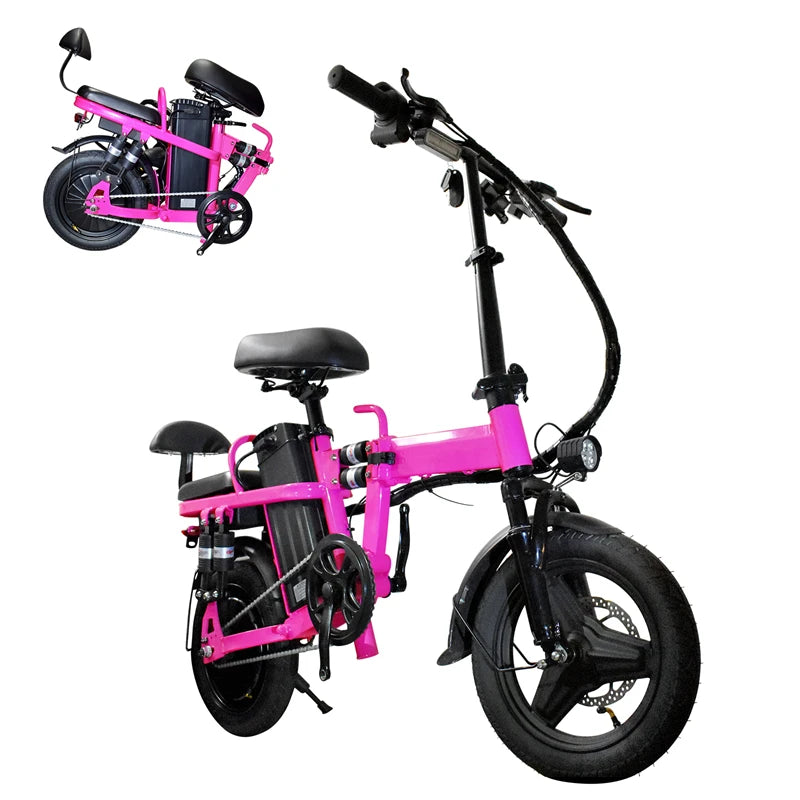 Folding Electric Bicycle 500W Peak Motor 48V 20Ah Long Range Commuter Bike