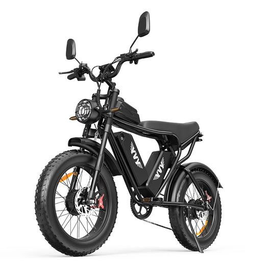 Q20Pro 2000W Dual Motor Fat Tire Electric Mountain Bike 52V 40Ah