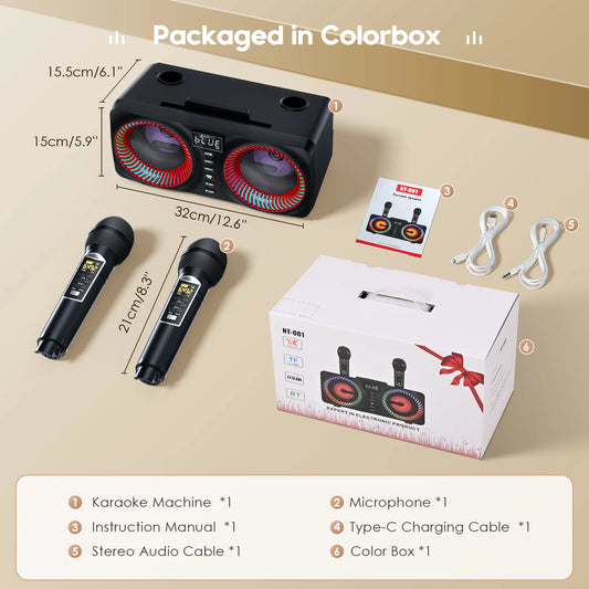 Portable Karaoke Machine with Bluetooth and Wireless Microphones - Antland Marketplace