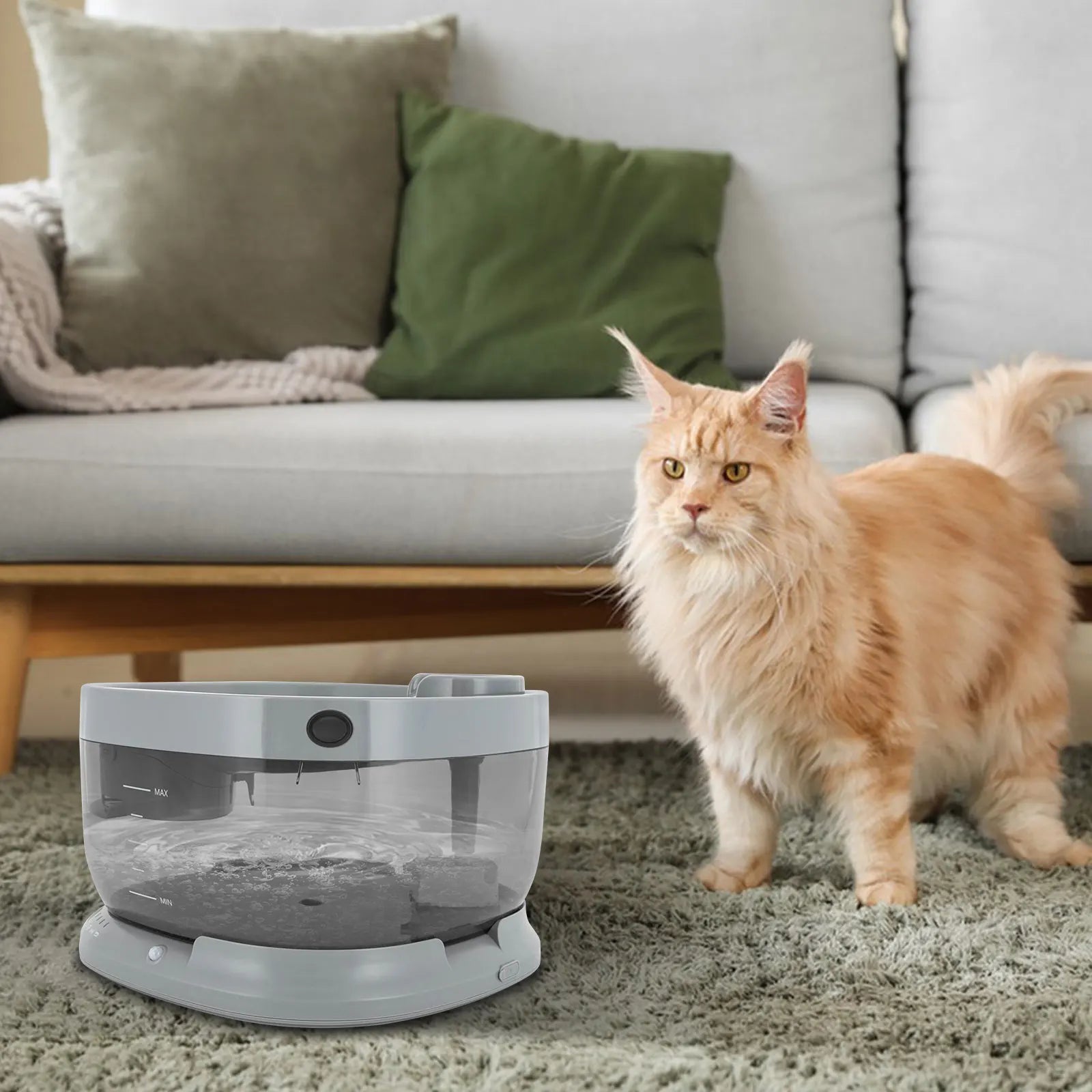 Pet Cat Water Fountain 1.85 Gallon Low Noise Design - Antland Marketplace