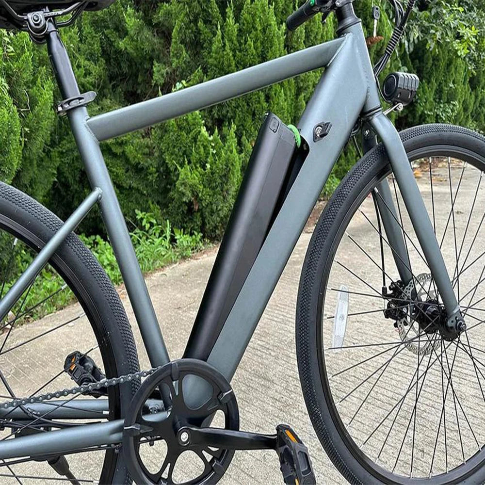 Freego City Electric Bike 20 MPH 500W With 36V 8Ah Removable Battery