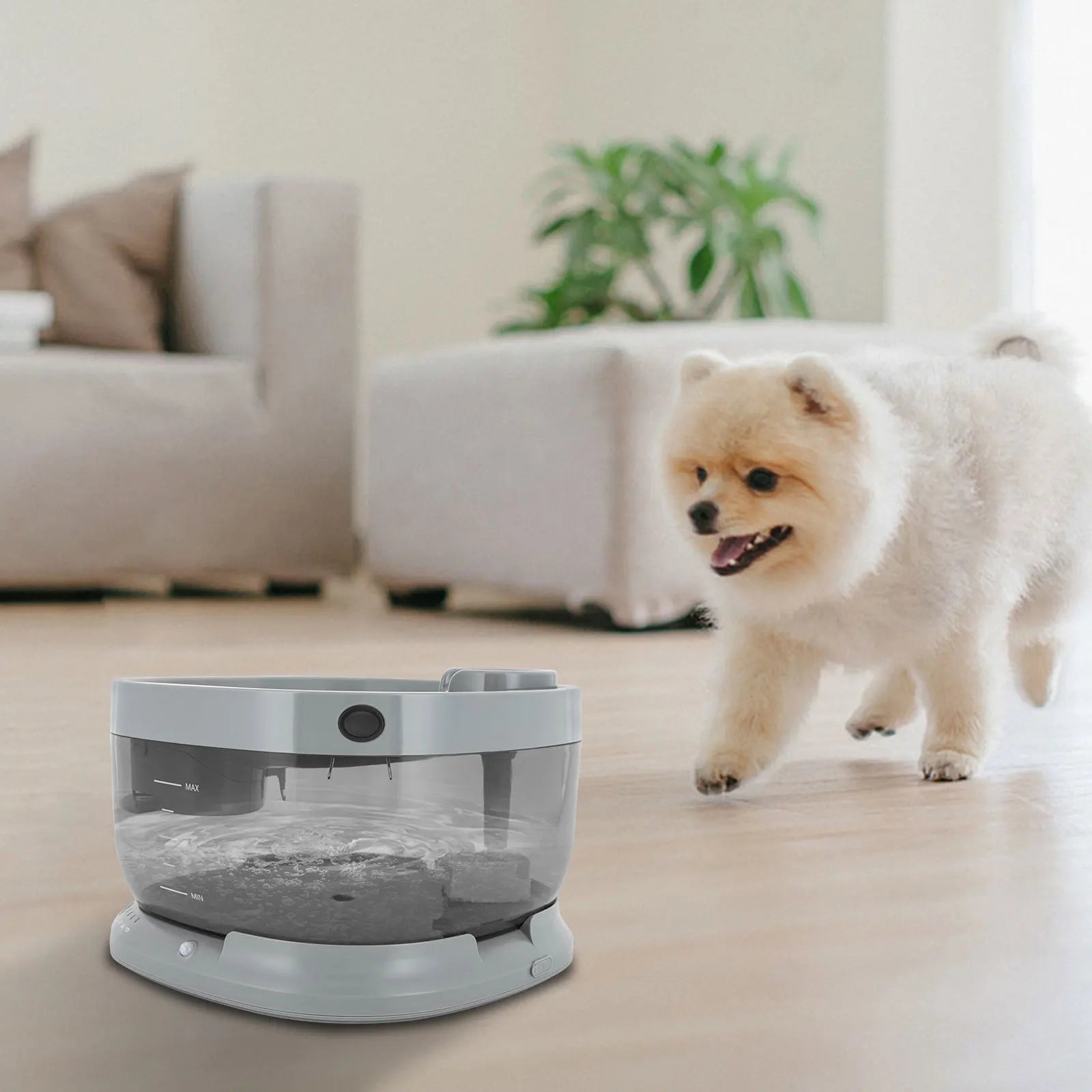 Pet Cat Water Fountain 1.85 Gallon Low Noise Design - Antland Marketplace