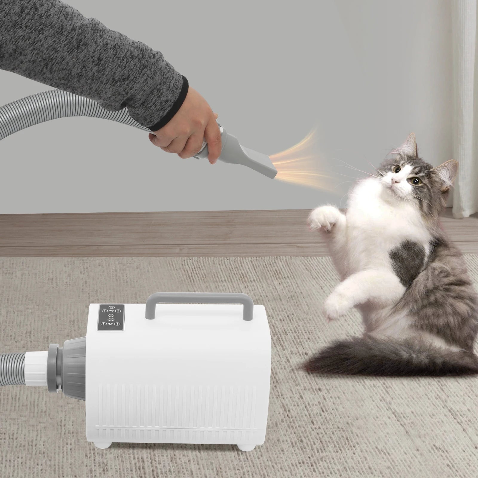 Professional Pet Hair Dryer 2100W Adjustable Speed Settings - Antland Marketplace