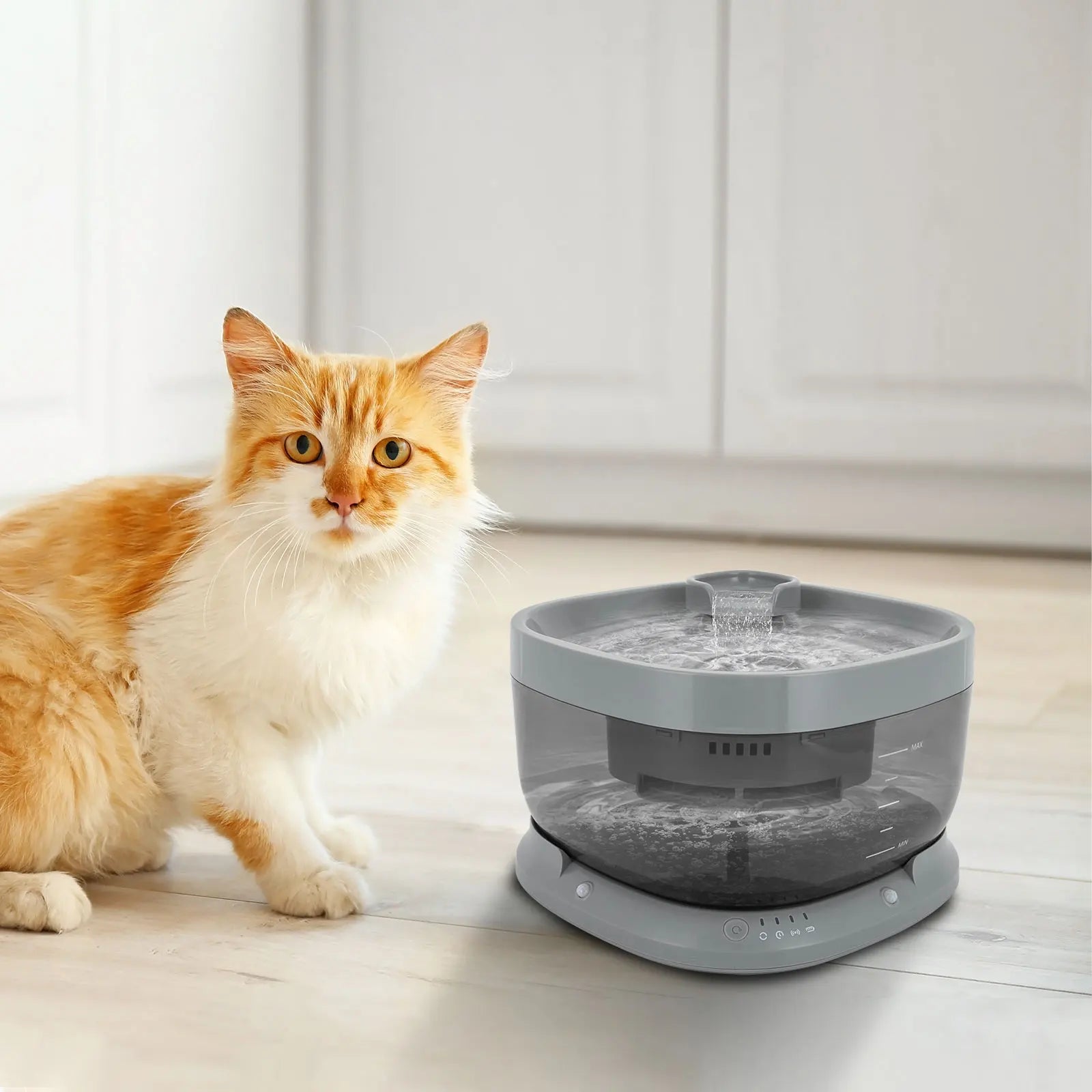 Pet Cat Water Fountain 1.85 Gallon Low Noise Design - Antland Marketplace