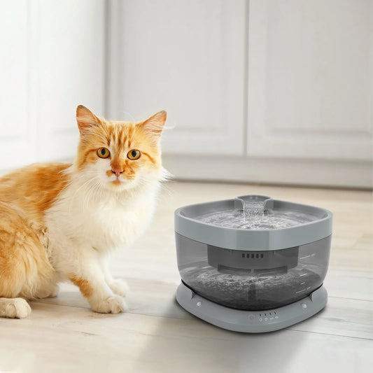 Pet Cat Water Fountain 1.85 Gallon Low Noise Design - Antland Marketplace