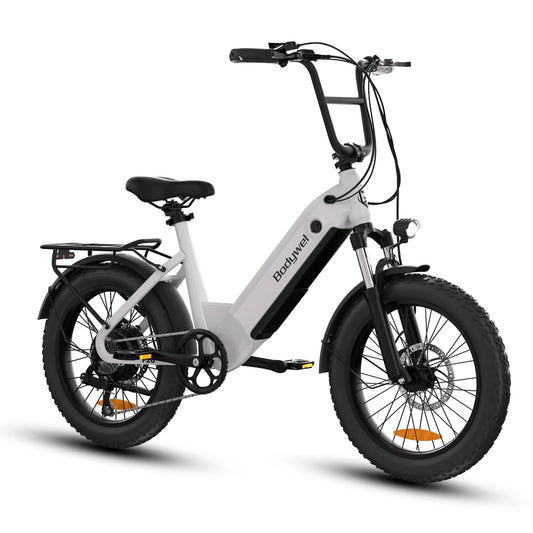 Bodywel F20 500W Fat Tire Electric Bike 20 Inch For Adults